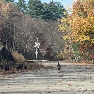 Meet your Posher, Kala